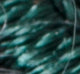 Block / Green