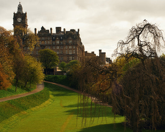 Insiders Guide: Dog walking in Edinburgh
