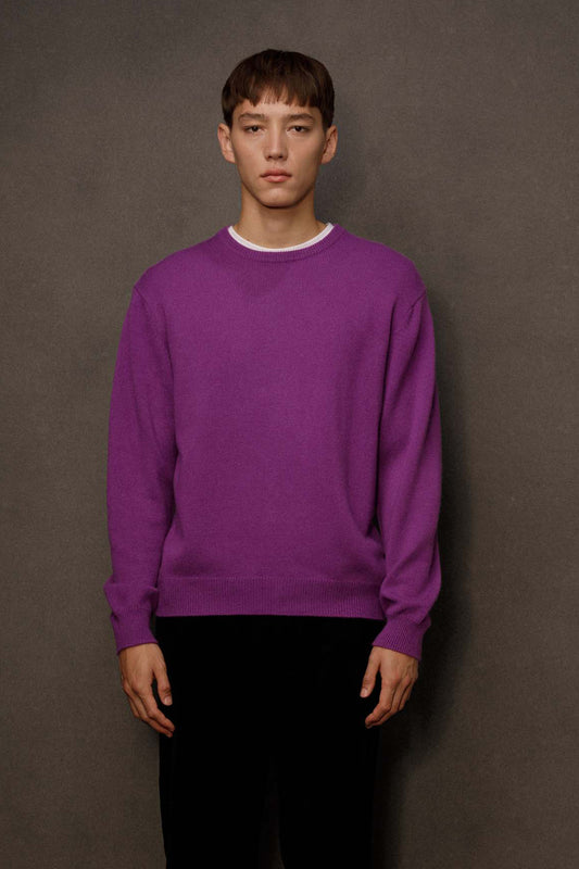Men’s Comely Cashmere Crew Neck Jumper - Thistle Purple