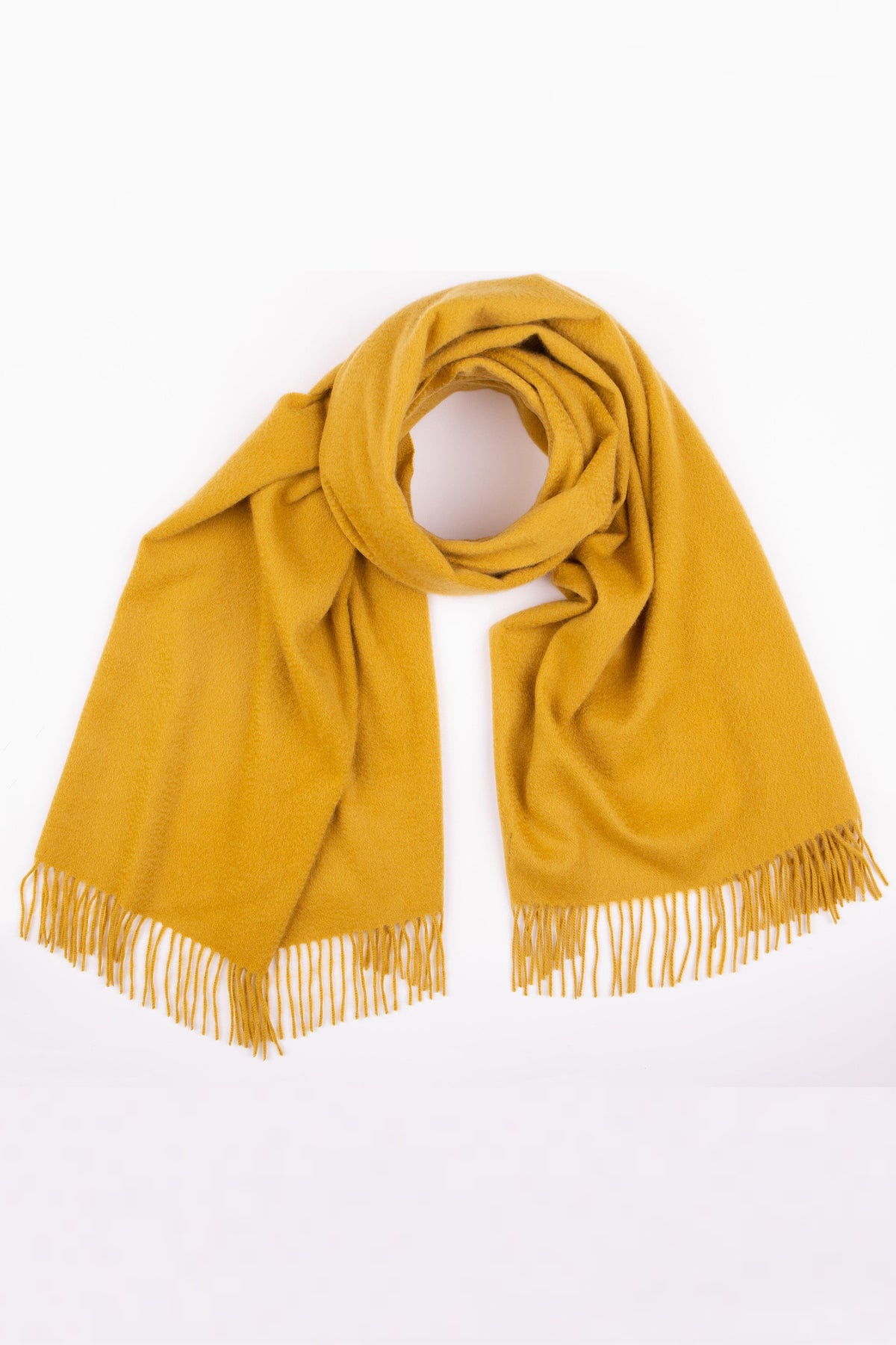 Solid Cashmere Stole in Sulphur Green loosely looped showing soft brushed texture and fringed ends